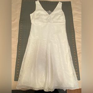 Ann Taylor vintage lace sheer dress.